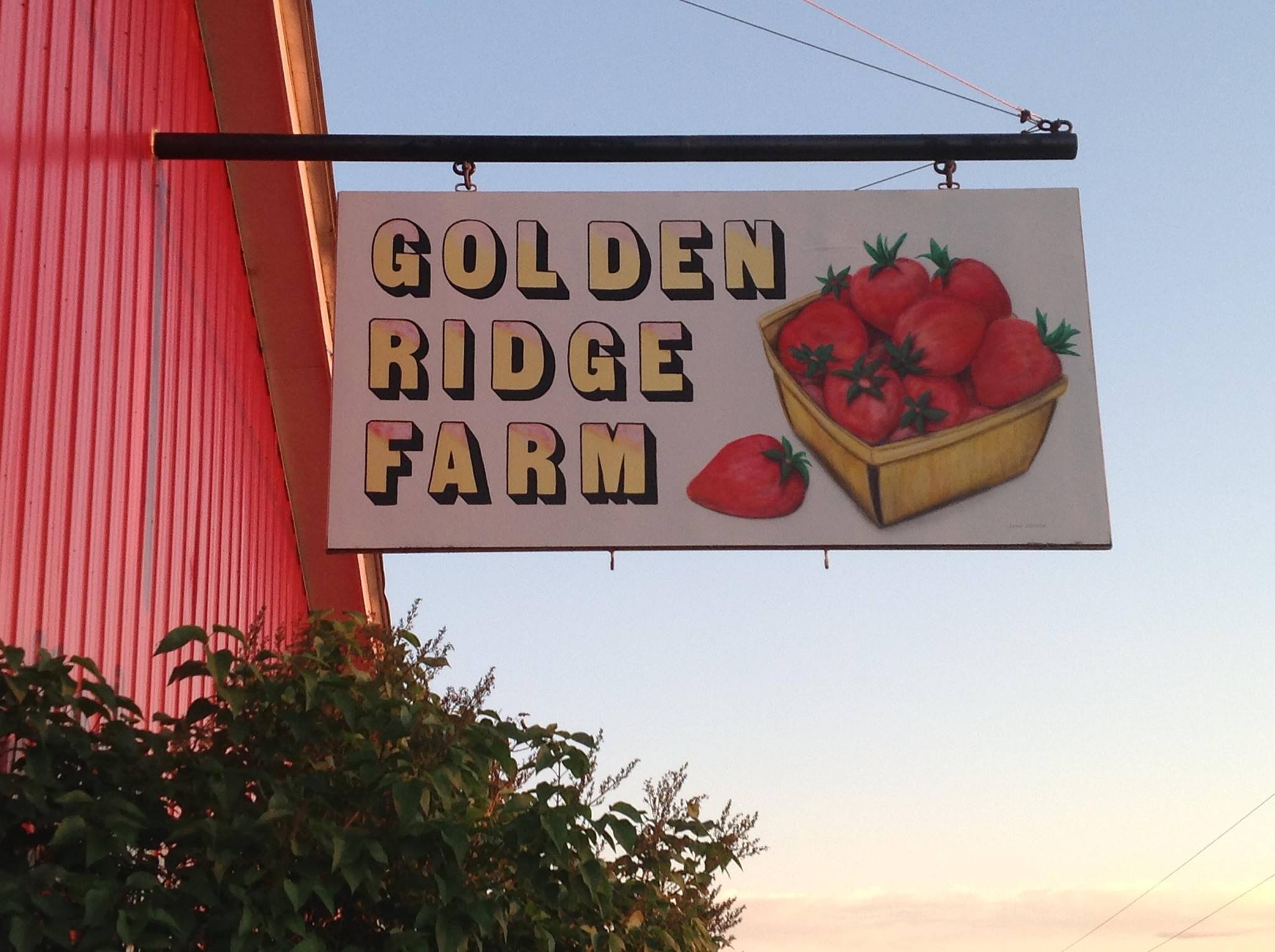 golden ridge farm au