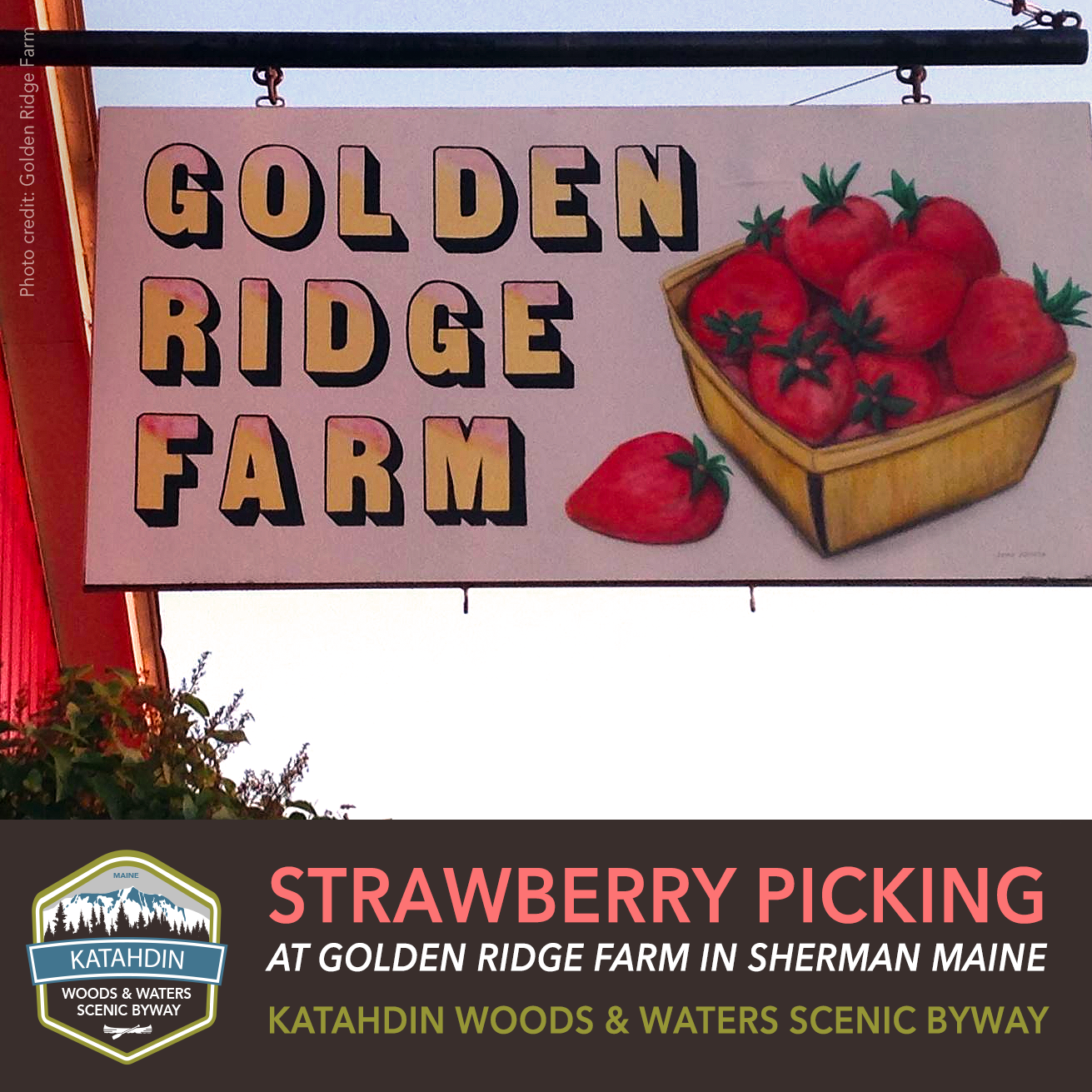 golden ridge farm reviews